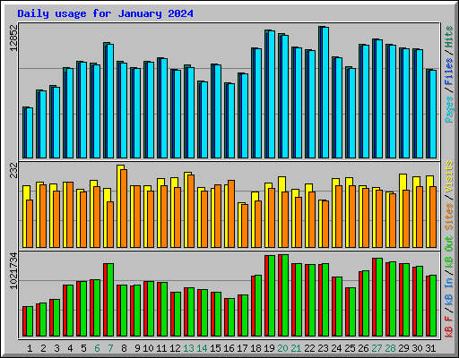 Daily usage for January 2024