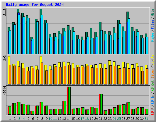 Daily usage for August 2024