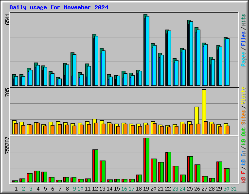 Daily usage for November 2024