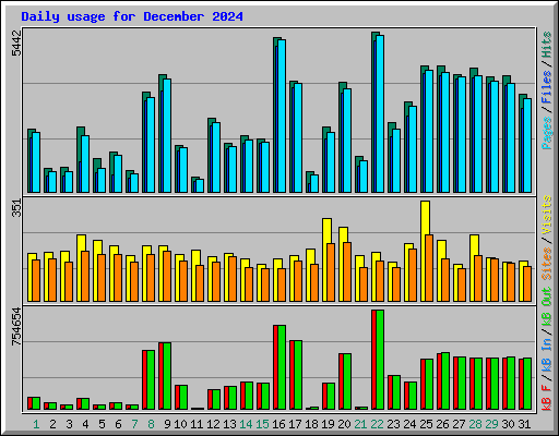 Daily usage for December 2024
