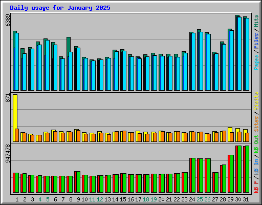 Daily usage for January 2025