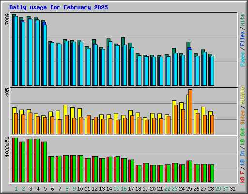 Daily usage for February 2025