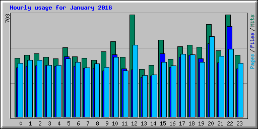 Hourly usage for January 2016
