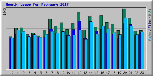 Hourly usage for February 2017