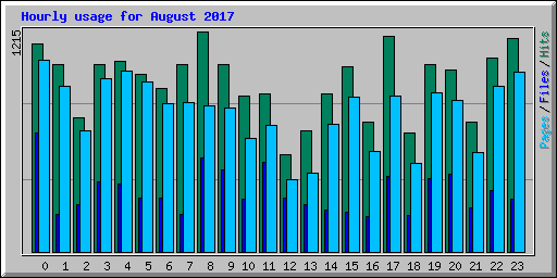 Hourly usage for August 2017