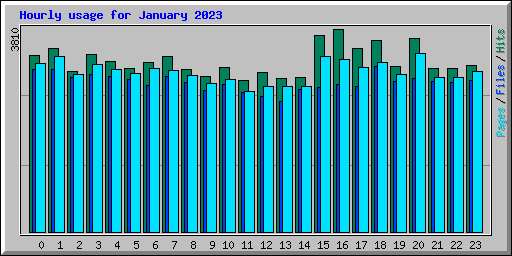 Hourly usage for January 2023