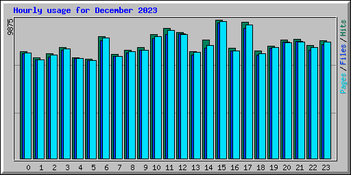 Hourly usage for December 2023