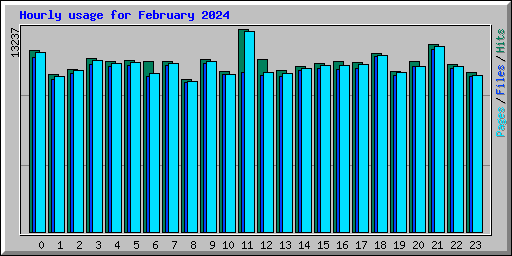 Hourly usage for February 2024