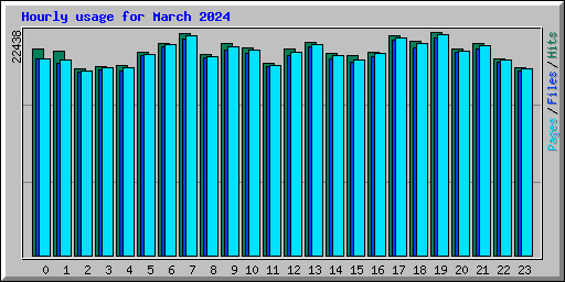 Hourly usage for March 2024
