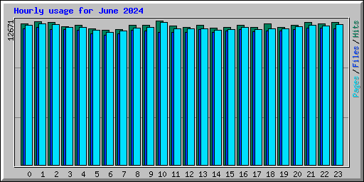 Hourly usage for June 2024
