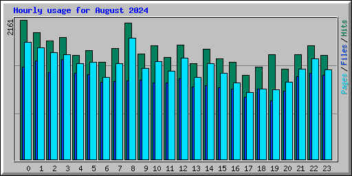 Hourly usage for August 2024