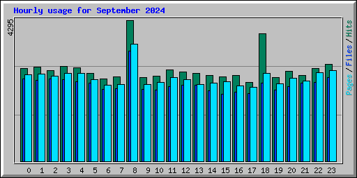 Hourly usage for September 2024