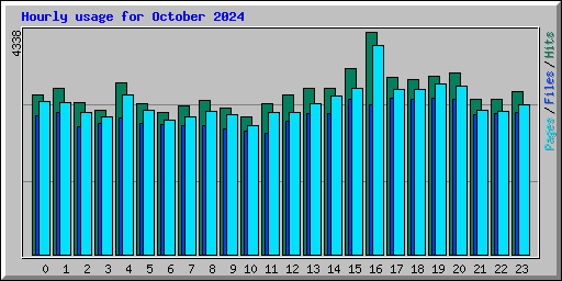 Hourly usage for October 2024