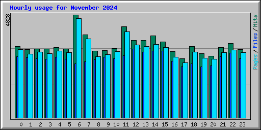 Hourly usage for November 2024