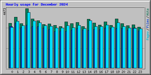 Hourly usage for December 2024