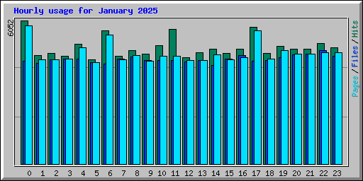 Hourly usage for January 2025