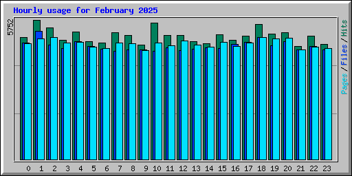 Hourly usage for February 2025