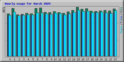 Hourly usage for March 2025