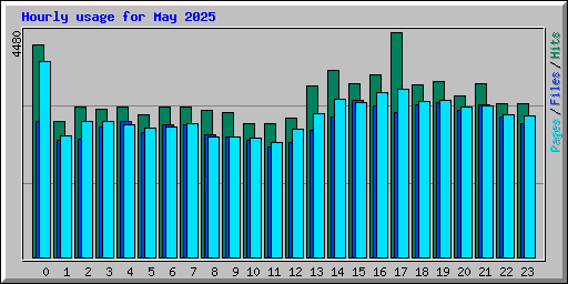 Hourly usage for May 2025
